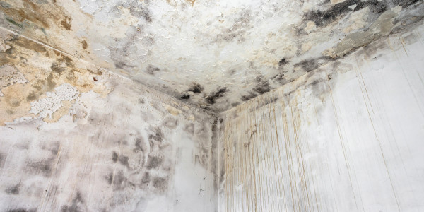 Pintar Fachadas de Casas Unifamiliares / Chalets Bellver de Cerdanya · Pintura Antihumedad / Antimoho para Humedades / Moho
